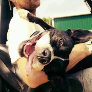 Meet your Posher, Ben